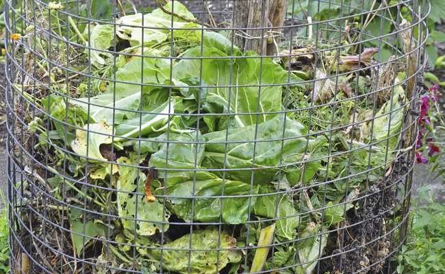 Humus macht den Garten stark: Warum der Kompost im Herbst so wichtig ist