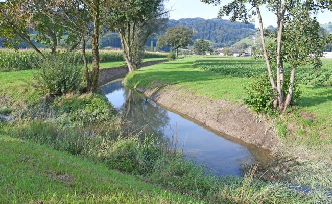 Gewässer in traurigem Zustand
