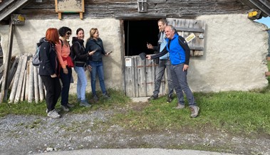 Neun Kuh-Alpen besuchen: Die neue Alpen-Challenge startet am 28. Mai