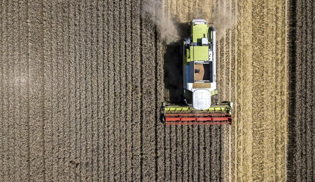 Weil eine Erntemaschine nicht rechtzeitig geliefert wurde, klagte der Bauer gegen die Lieferfirma – und bekam Recht. Doch nach diesem Erfolg misslang es dem Bauern und seinem Anwaltsbüro, ihre bis dahin erfolgreiche Beziehung in richtige Bahnen zu lenken. 