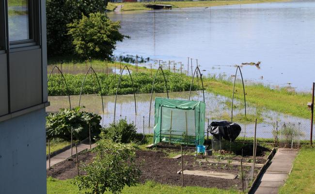 Rhein erreicht Höchststand