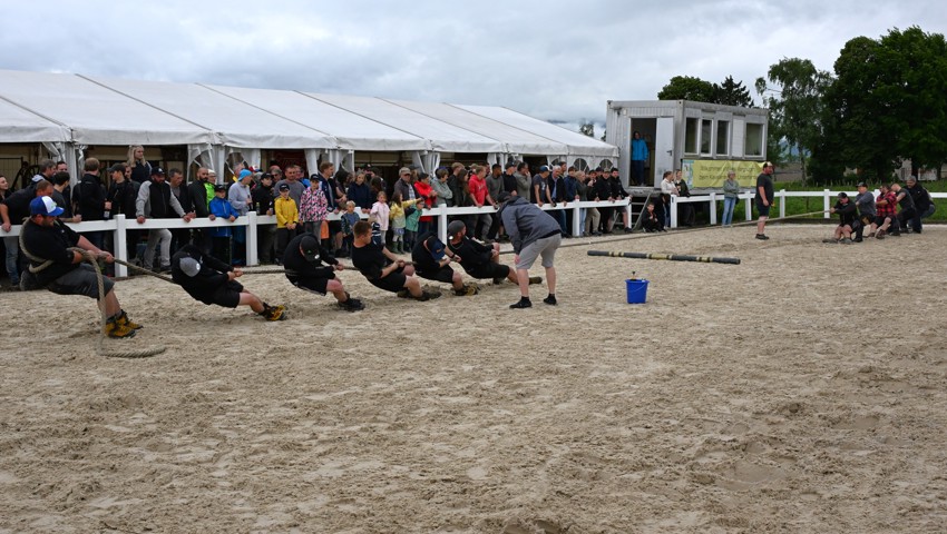 Der Seilzieh-Plauschwettkampf entpuppte sich als Festhöhepunkt auch für «Nichtrösseler». Die Stimmung in Diepoldsau war grandios. Der Seilzieh-Plauschwettkampf entpuppte sich als Festhöhepunkt auch für «Nichtrösseler». Die Stimmung in Diepoldsau war grandios.