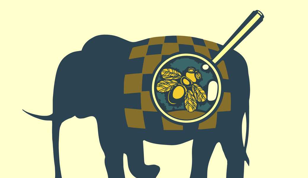 Obschon seine Taten unbestritten sind, beantragte der Beschuldigte einen Freispruch. Er meinte, aus einer Mücke werde ein Elefant gemacht.  