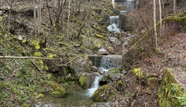 Kritik am Hochwasserschutz – Stadtrat hält an Variante «Bofelbach» fest