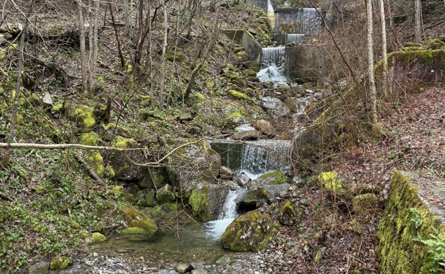 Kritik am Hochwasserschutz – Stadtrat hält an Variante «Bofelbach» fest