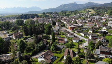 Erneuerungswahlen im Herbst: 19 Kandidierende wollen sich für die Stadt engagieren