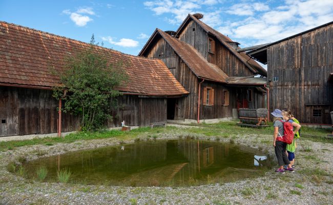 «Wildwestgefühle im Rheintal»: Städter entdecken die Schollenmühle