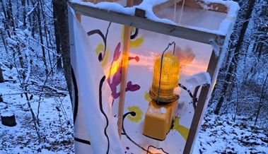 Vandalen beschädigten Laternen im Altstätter Waldpark