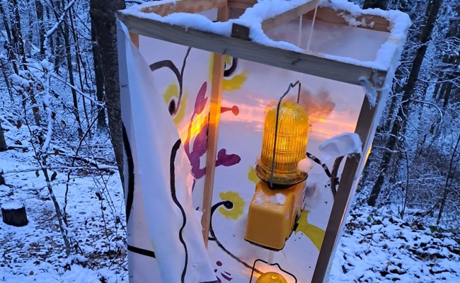 Vandalen beschädigten Laternen im Altstätter Waldpark