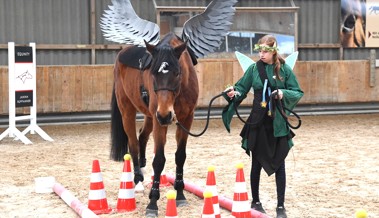 Zu Pferd durch den Zauberwald: Neuer Event war ein Erfolg
