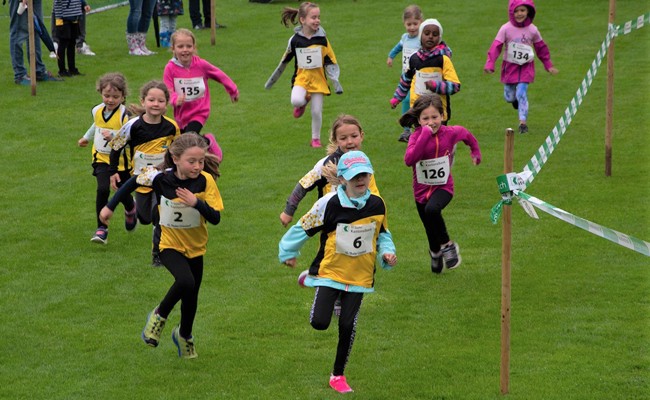 Der Thaler Crosslauf geht am Samstag in seine 44. Runde