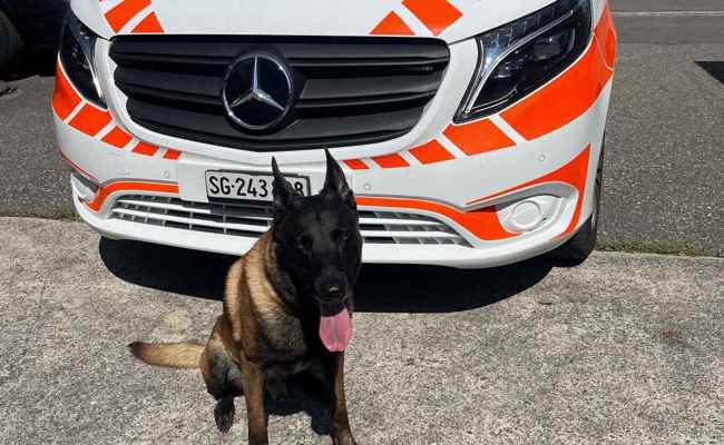 Polizeihund Rio schnappt Täter nach Einbruch in Einfamilienhaus