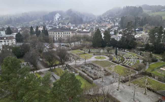 Friedhöfe haben heute mehr Platz als früher – trotz Bevölkerungswachstum