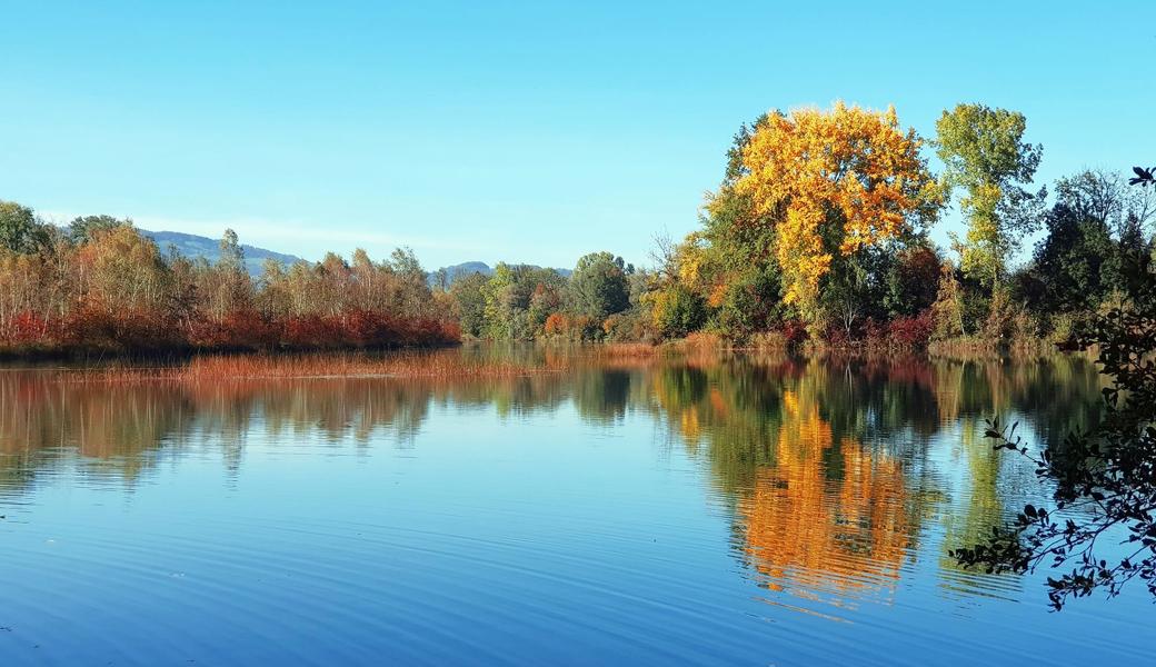 So schön ist der Rheintaler Herbst.