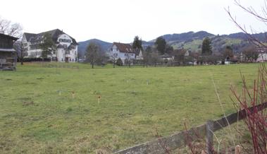 Abschied von einer grossen Wiese