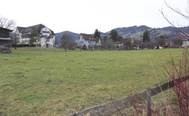 Abschied von einer grossen Wiese