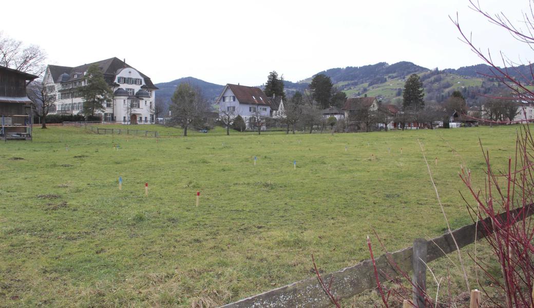 Auf dieser Parzelle, die eine Gehminute vom Bahnhof entfernt ist, sollen nach Möglichkeit ab August drei Mehrfamilienhäuser mit 83 Wohnungen entstehen. Links ist das markante Gebäude Jung Rhy an der Alten Landstrasse zu sehen, das vom Verein Rhyboot genutzt wird.