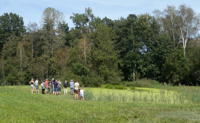 Tag der offenen Tür im Naturreservat Burst mit Führungen