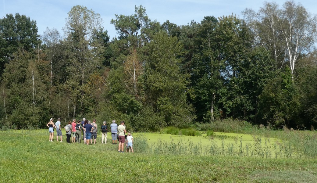 Führung durch das Naturreservat Burst_Foto Evelyne Nicolet