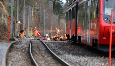 Entgleisung: Ein Rückschlag für das Gaiserbähnli und was das für die Zukunft bedeuten könnte
