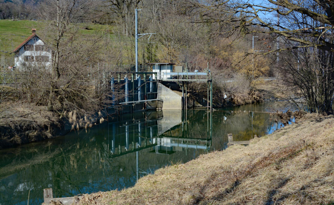 Naturnahe Gestaltung: Binnenkanal wird lebendiger