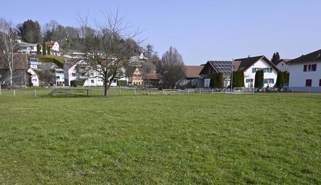 Aus dieser Wiese (bis zum Hag quer durch die Bildmitte) werden drei Einfamilienhausparzellen. Zu sehen ist etwa die Hälfte der Fläche.