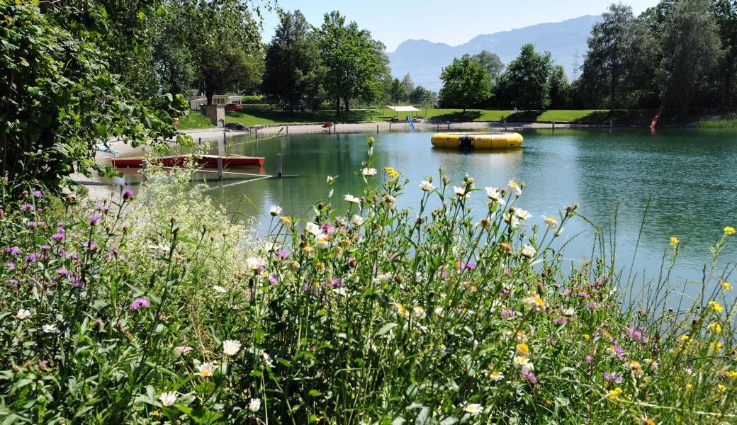 Der Baggersee bei Kriessern: Hier verdunstet Wasser nicht nur. Wie es aussieht, wird auch welches durch den Boden nach Vorarlberg gesaugt.