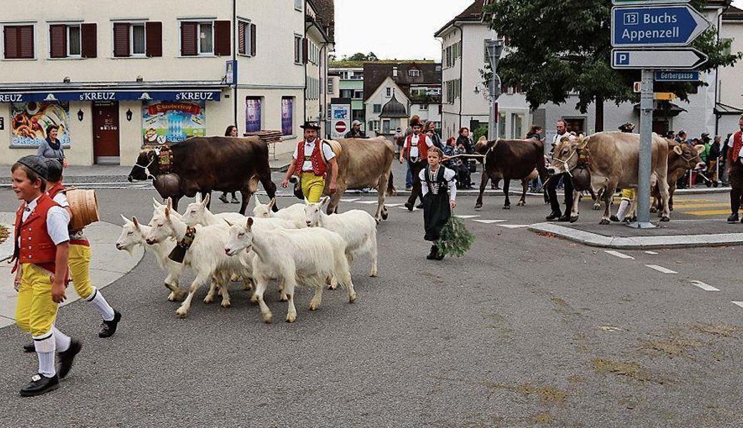 In Trachten gekleidet begleiten die Kinder die Geissen durch den Kreisel.