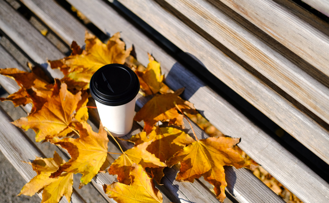 Jedes Jahr wieder: Voller Einsatz für das perfekte Herbst-Insta-Bild
