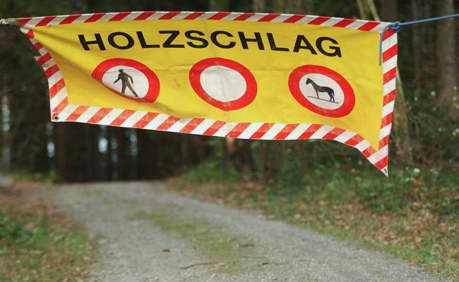 Forstarbeiter bei Arbeitsunfall schwer verletzt