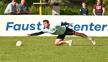 Ein Sieg und eine Niederlage für die Widnauer Faustballer (1)