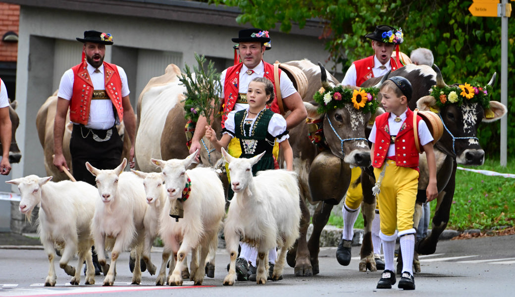 Viehschau Oberegg: Ein Volksfest mit einer Miss, die Paloma heisst