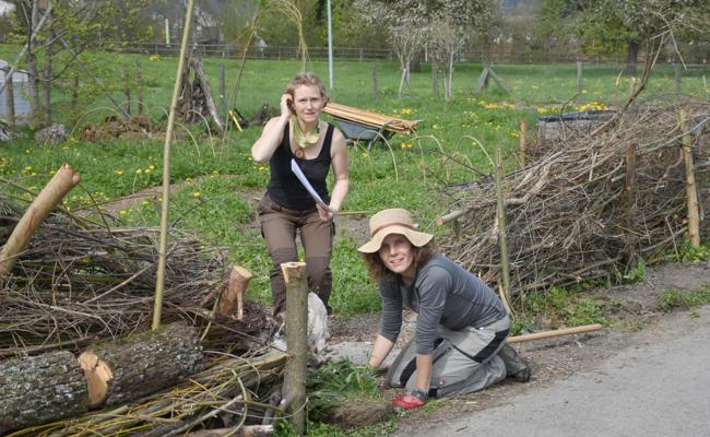 Bioterra baut den Schülergarten