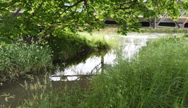 Der Zapfenbach im Wandel der Zeit: Vom Waschtrog über den Stinkbach zum Veloparadies
