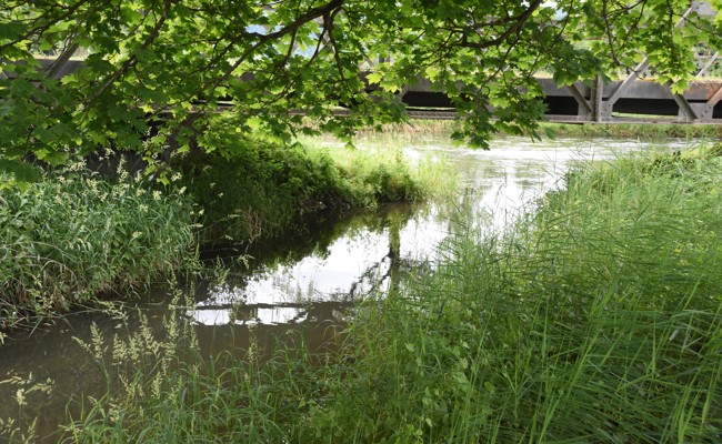 Der Zapfenbach im Wandel der Zeit: Vom Waschtrog über den Stinkbach zum Veloparadies