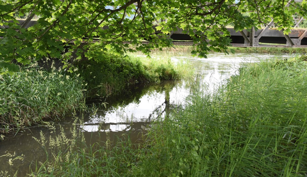 Der Zapfenbach im Wandel der Zeit: Vom Waschtrog über den Stinkbach zum Veloparadies