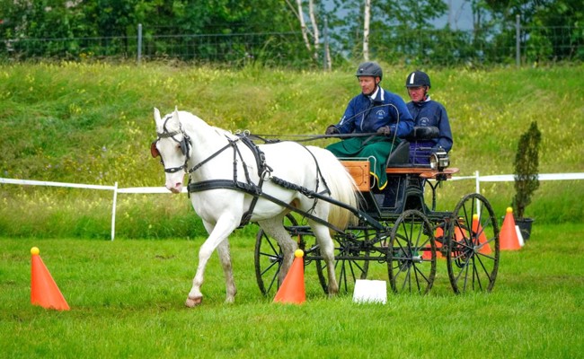 Schöne Pferdesporttage mit einer Diepoldsauer Doppelsiegerin
