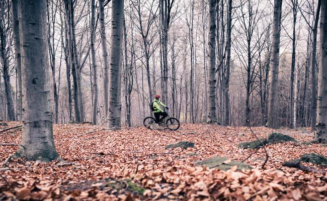3 der schönsten Rheintaler Biketouren für den Winter