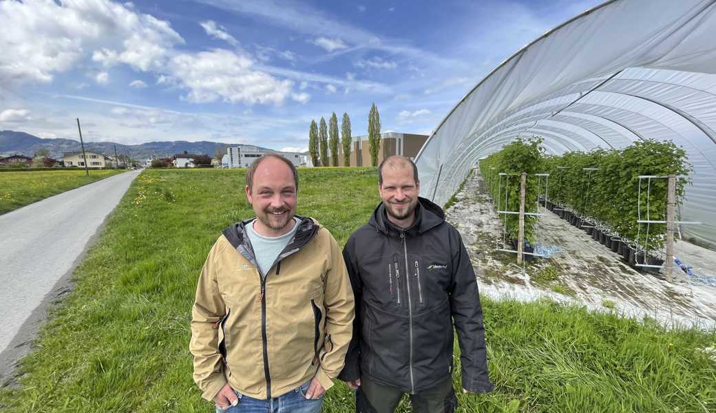 Landwirt Fabian Kummer (rechts) wird von Betriebsökonom Jonas Sieber unterstützt, den er schon lange kennt. Die geplante Agri-PV-Anlage wird auf der Wiese im Hintergrund entstehen, rechts hinten ist das Greiner-Firmengebäude zu sehen.