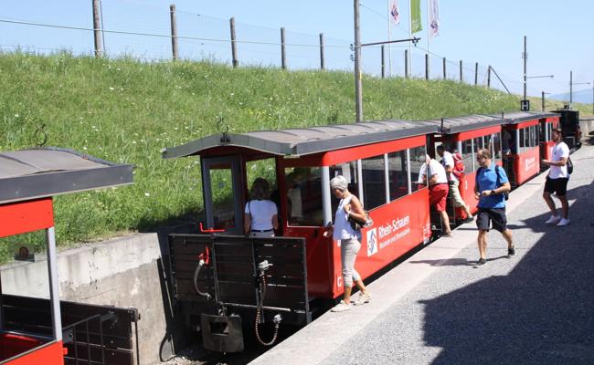 "Rhein-Schauen" erhält Museums-Gütesiegel
