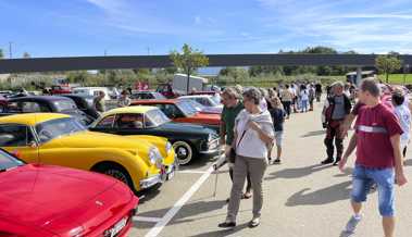 Historische Verkehrsschau auf dem Rheinpark-Areal: Viele Autos gibt es nur noch einmal