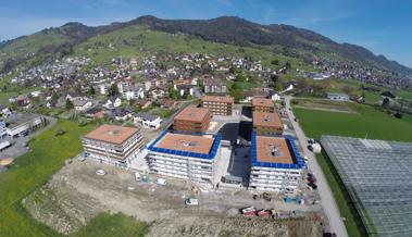 Lüchingen ist kräftig gewachsen