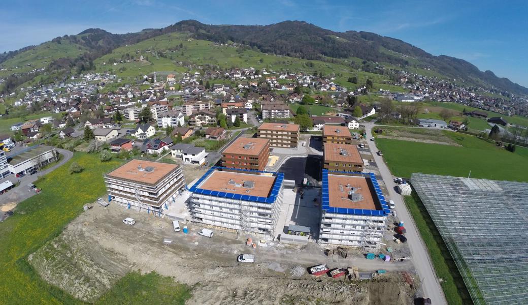 Seit dem Bau der sieben Seven-Häuser haben diese sich mit Leben gefüllt - und die Umgebung ist inzwischen schön bewachsen.