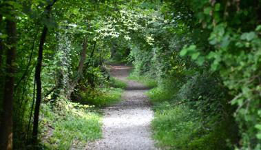 Ein der Seele wohltuender Weg