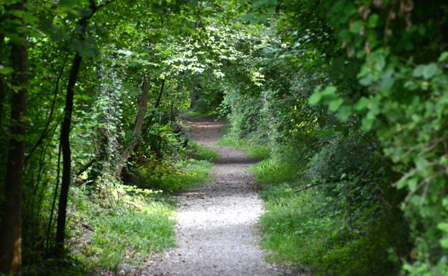 Ein der Seele wohltuender Weg