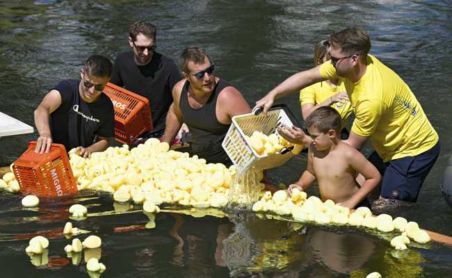 4200 Enten schwimmen bei sommerlicher Hitze den Kanal hinunter