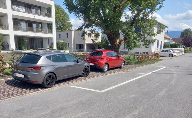 Parkieren für Fortgeschrittene: Öffentliche Parkfelder sind privaten im Weg