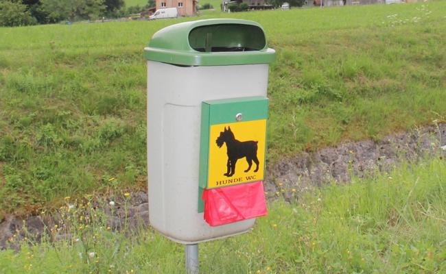 Hundekot konsequent  aufnehmen