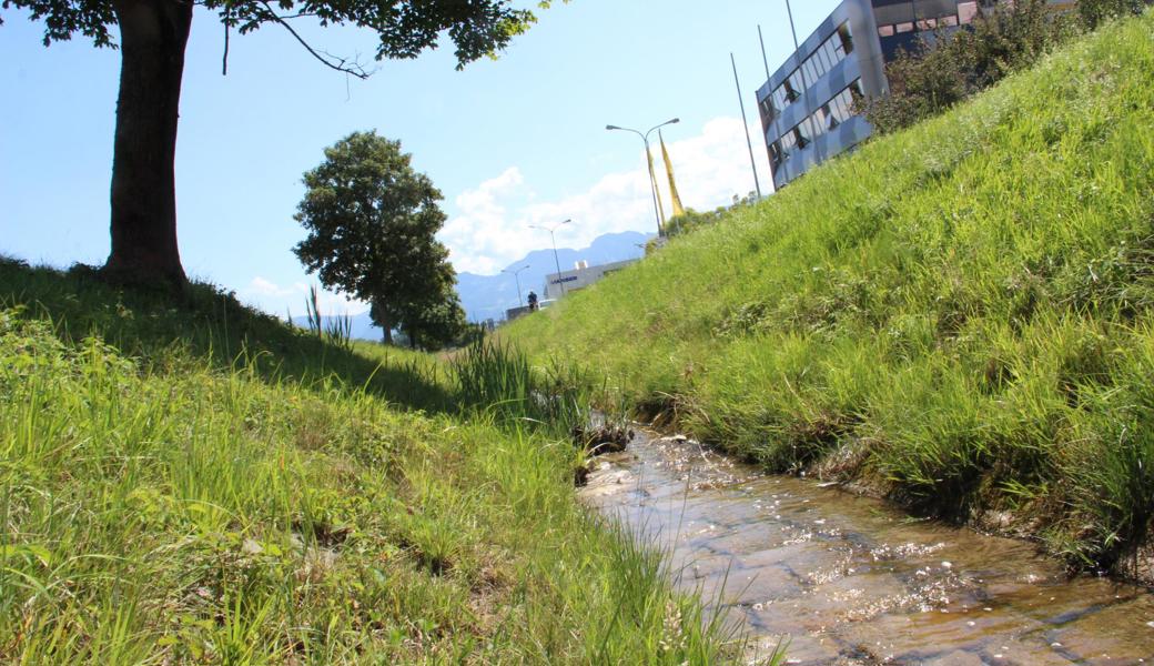 Ein bisschen Wasser fliesst nun wieder.