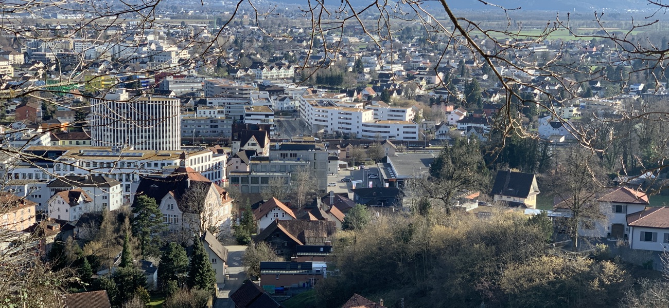 Heerbrugg (5) (1)